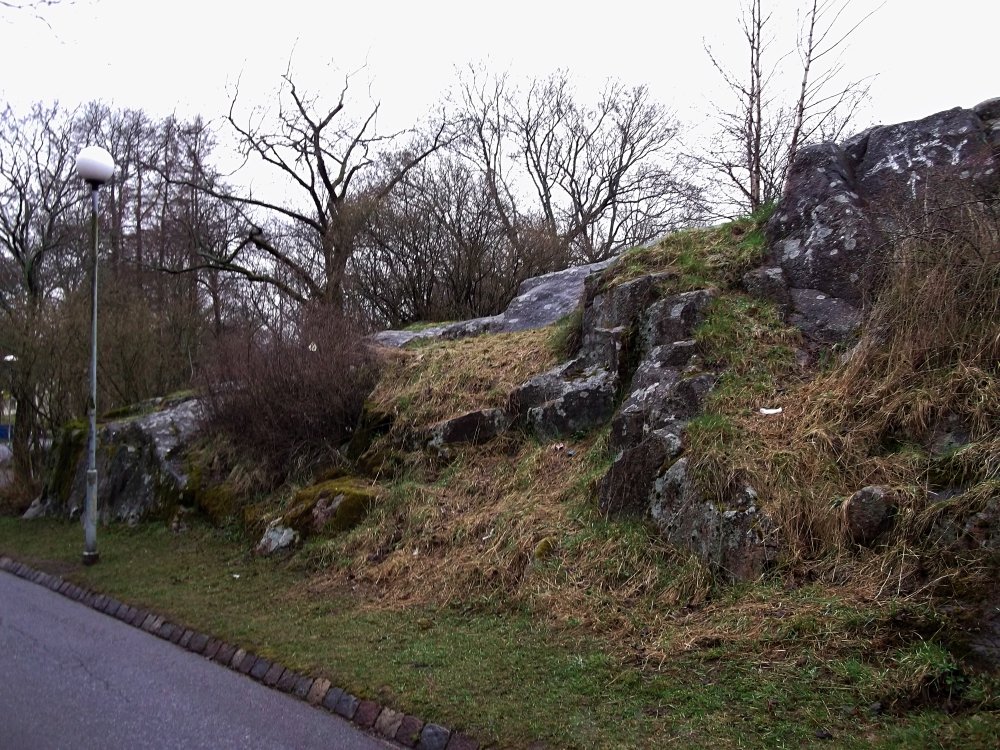 Сады и парки Скандинавии 247_Fotor.jpg