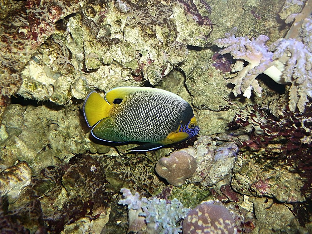 Сады и парки Скандинавии 611_Fotor.jpg