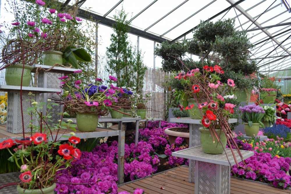 отпуск 2018 2506.JPG