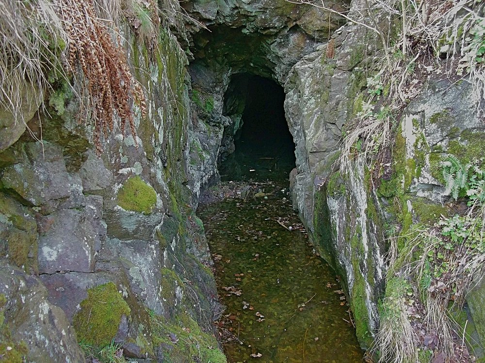 Сады и парки Скандинавии 453_Fotor.jpg