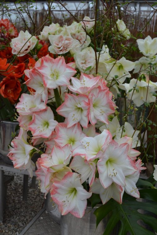 отпуск 2018 2543.JPG