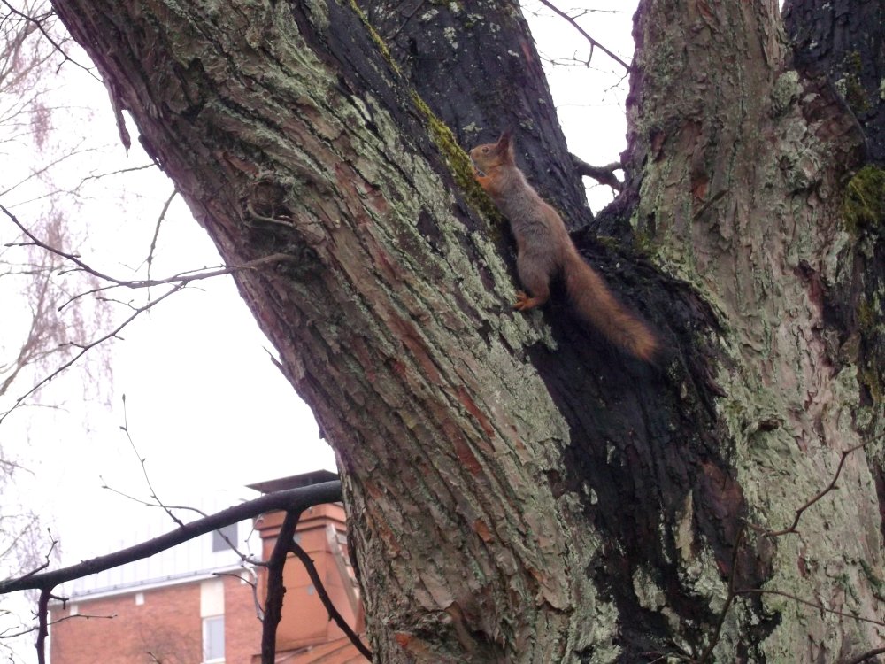 Сады и парки Скандинавии 275_Fotor.jpg