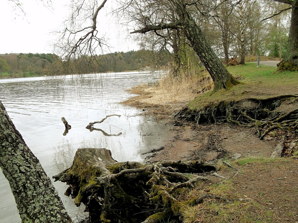 Сады и парки Скандинавии 404_Fotor.jpg