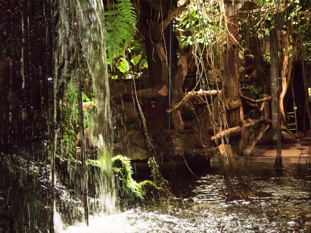 Сады и парки Скандинавии 535_Fotor.jpg