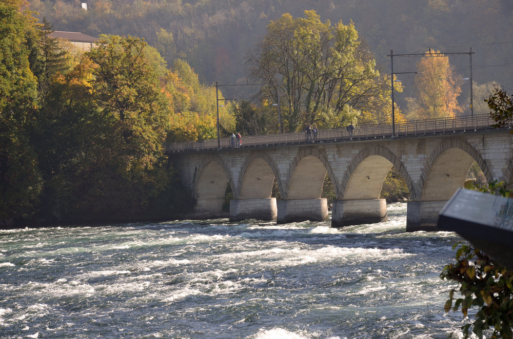 DSC_3768 — копия.JPG