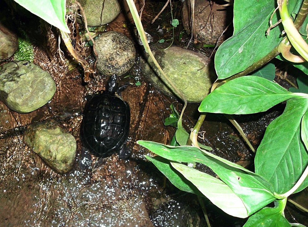 Сады и парки Скандинавии 648_Fotor.jpg