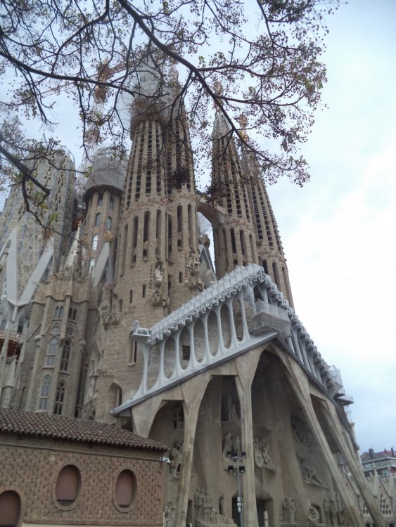 Барселона. Саграда Фамилия.JPG