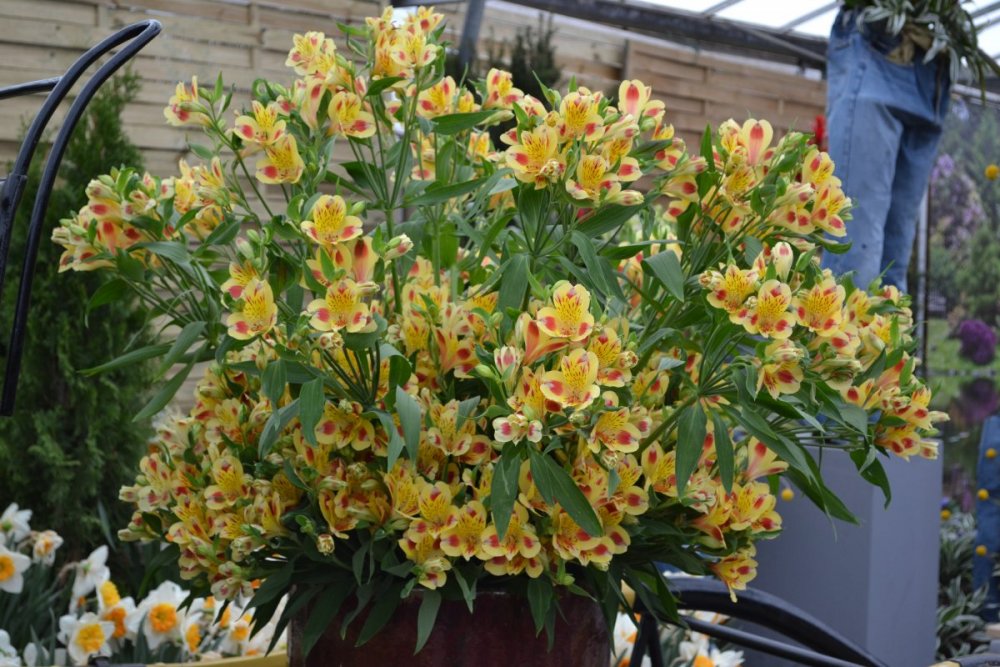 отпуск 2018 2537.JPG