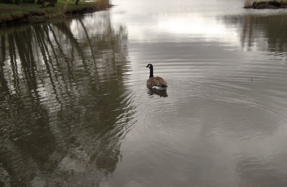 Сады и парки Скандинавии 473_Fotor.jpg
