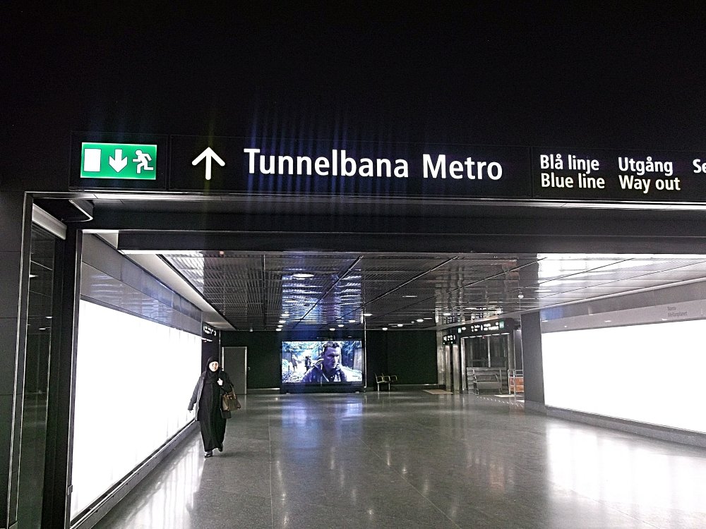 Сады и парки Скандинавии 687_Fotor.jpg