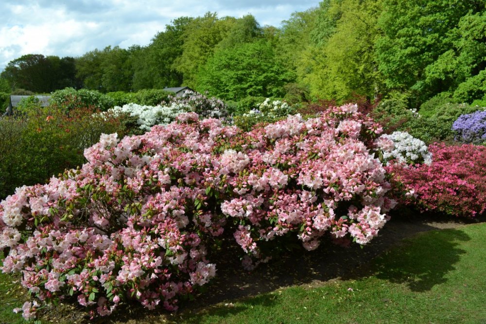отпуск 2018 2467.JPG