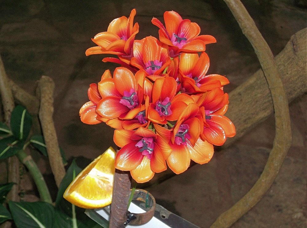 Сады и парки Скандинавии 567_Fotor.jpg