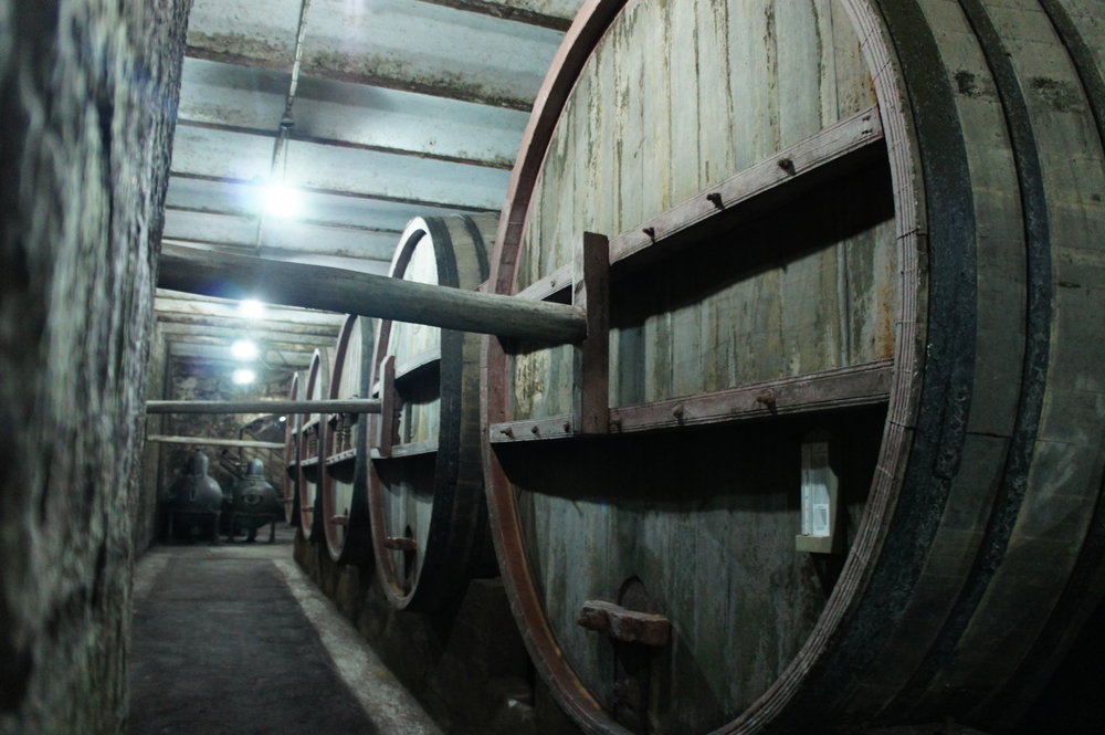 DSC03401     Армения Ереван  коньячный завод %22Ной%22  .JPG