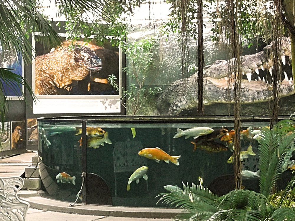 Сады и парки Скандинавии 482_Fotor.jpg