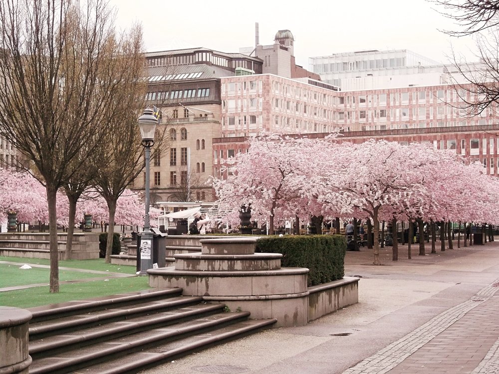 Сады и парки Скандинавии 344_Fotor.jpg