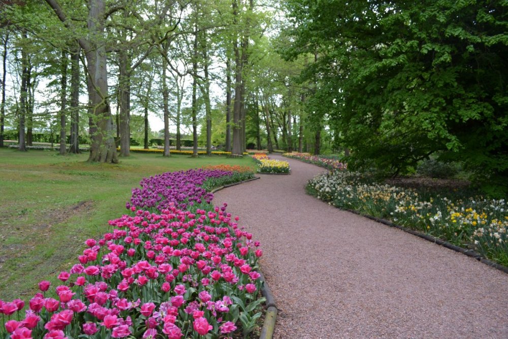 отпуск 2018 2637.JPG