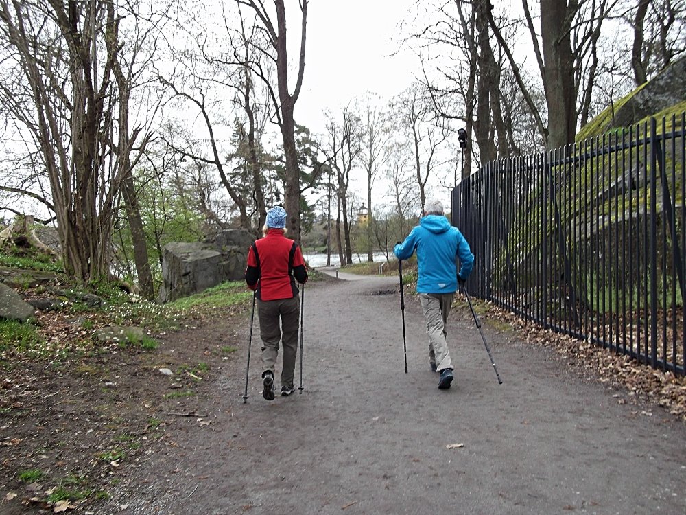 Сады и парки Скандинавии 400_Fotor.jpg