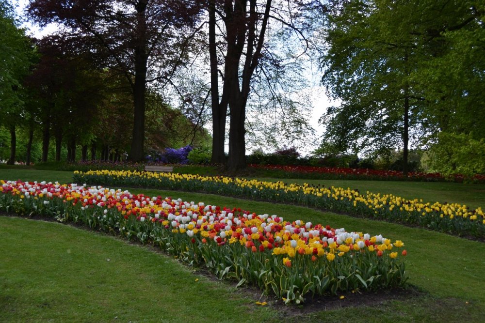 отпуск 2018 2678.JPG