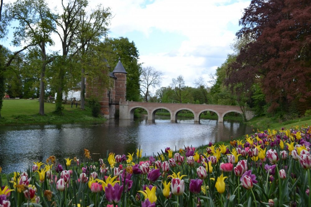 отпуск 2018 2694.JPG