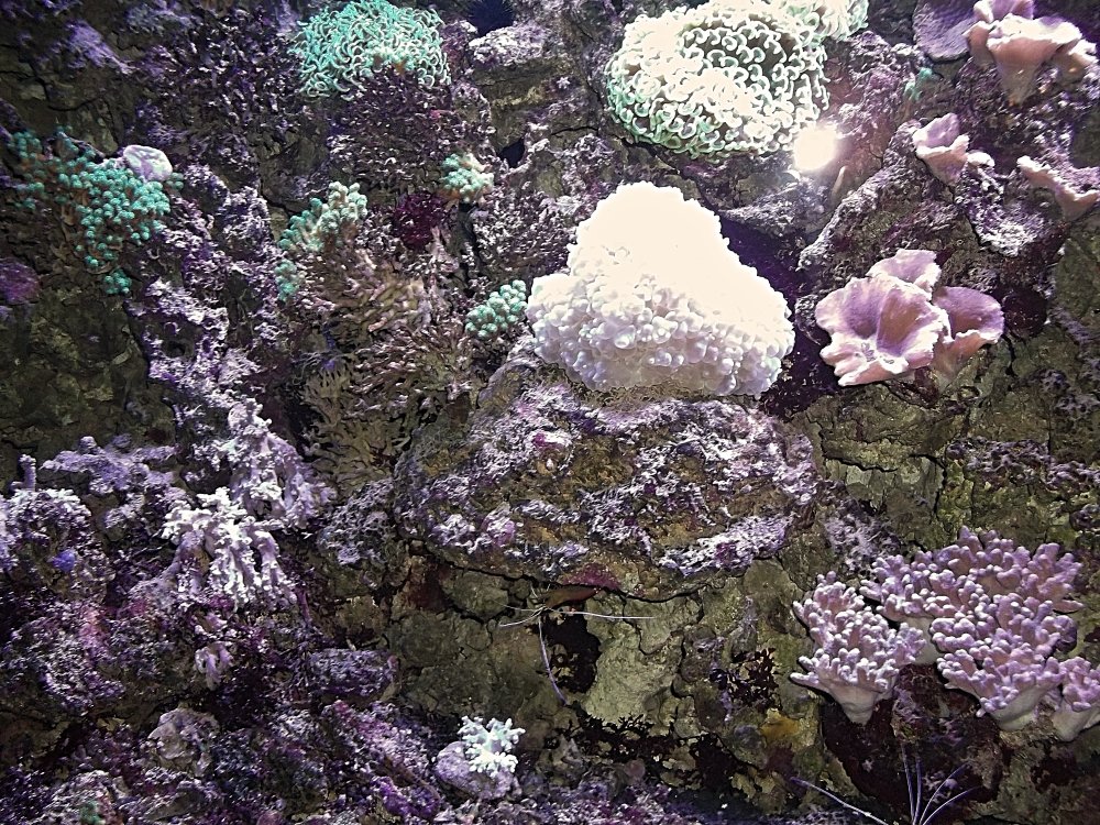 Сады и парки Скандинавии 607_Fotor.jpg