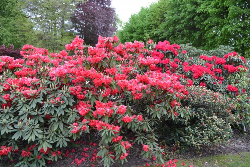 отпуск 2018 2436.JPG