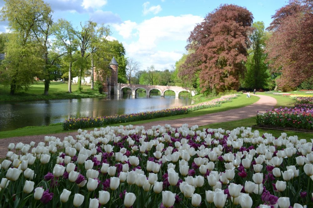 отпуск 2018 2718.JPG