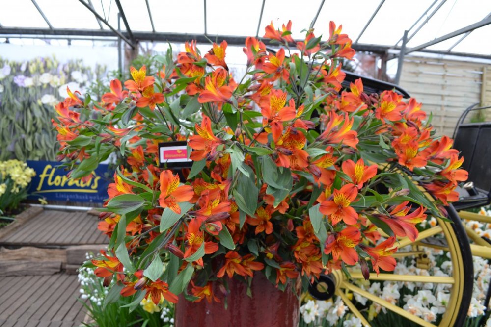 отпуск 2018 2536.JPG