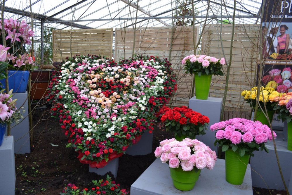 отпуск 2018 2540.JPG