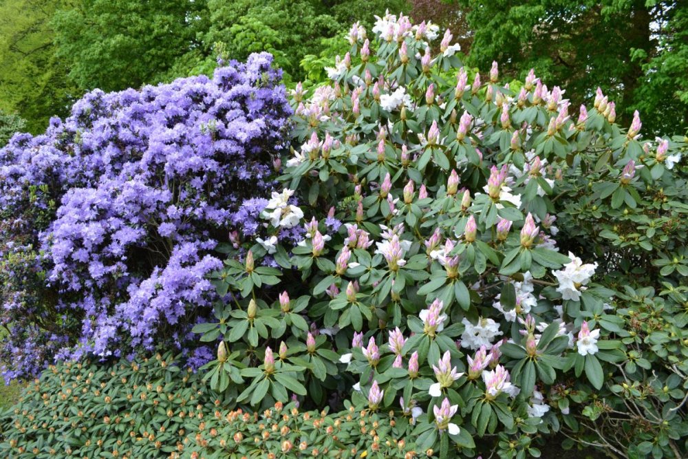 отпуск 2018 2475.JPG