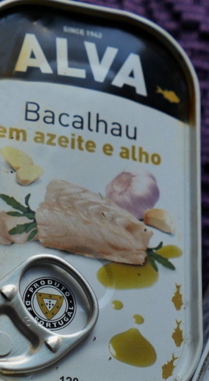 2018-04-28 14-11-58.JPG