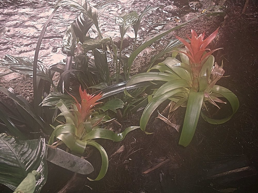 Сады и парки Скандинавии 508_Fotor.jpg