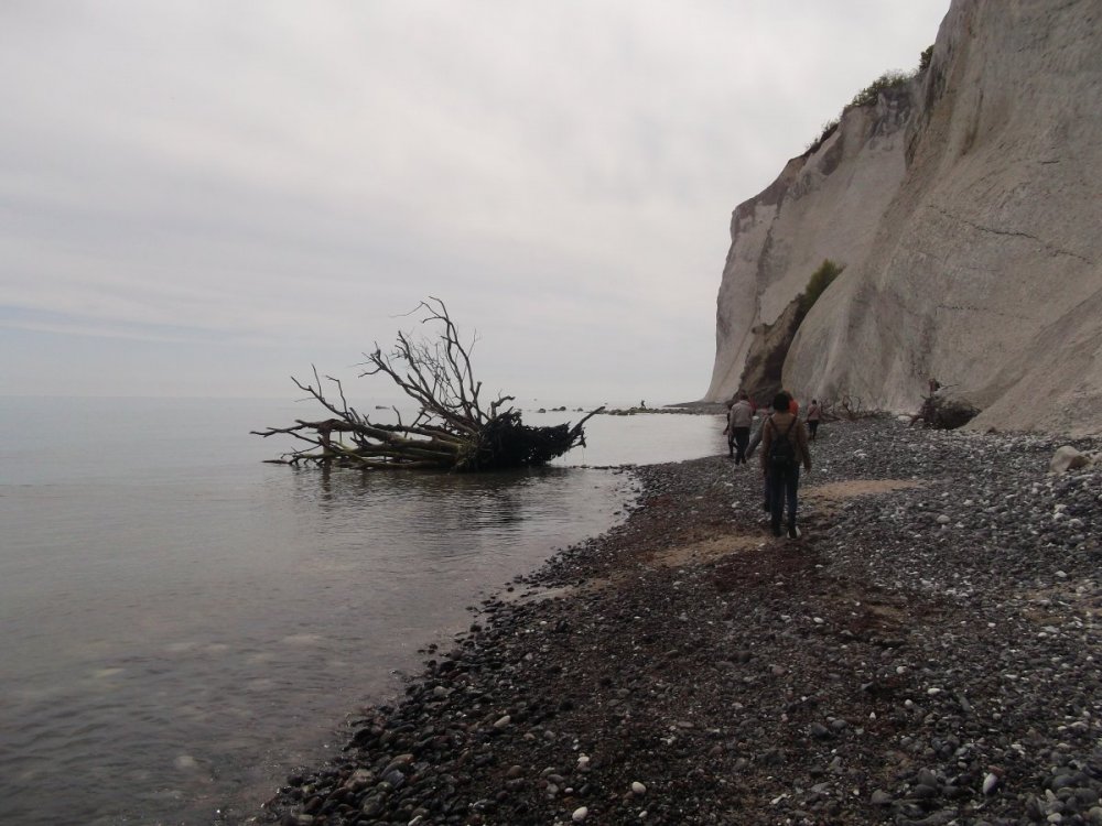 Сады и парки Скандинавии 1289.JPG