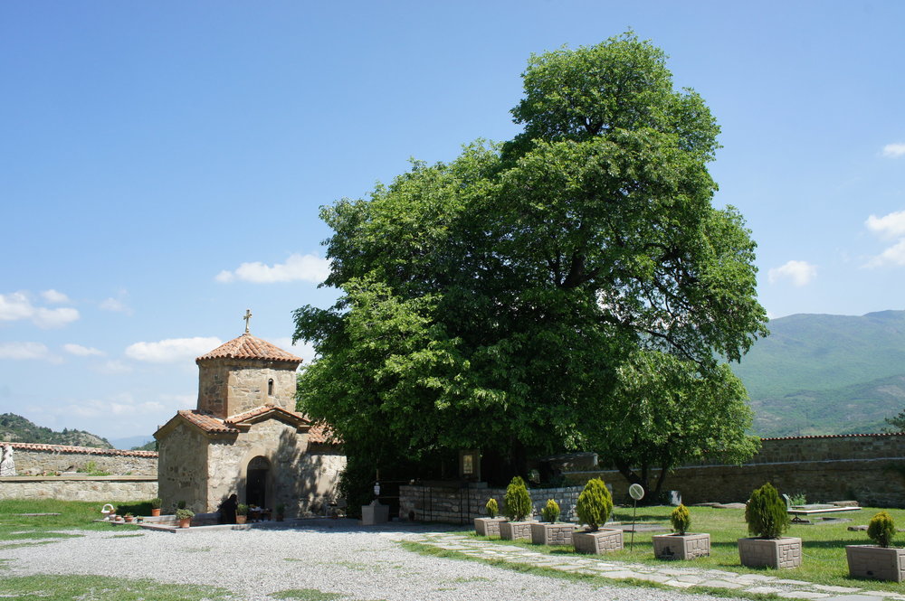 DSC02645  Грузия Мцхета монастырь Самтавро  .JPG