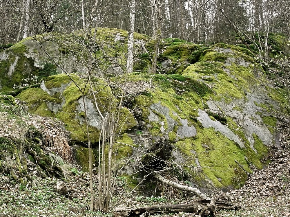 Сады и парки Скандинавии 459_Fotor.jpg