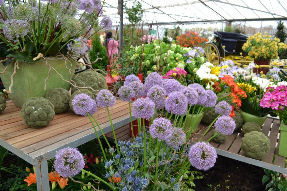 отпуск 2018 2524.JPG