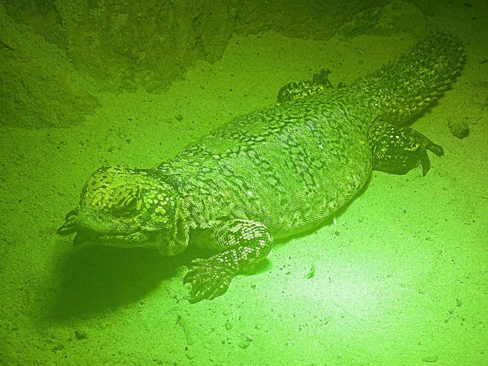 Сады и парки Скандинавии 527_Fotor.jpg