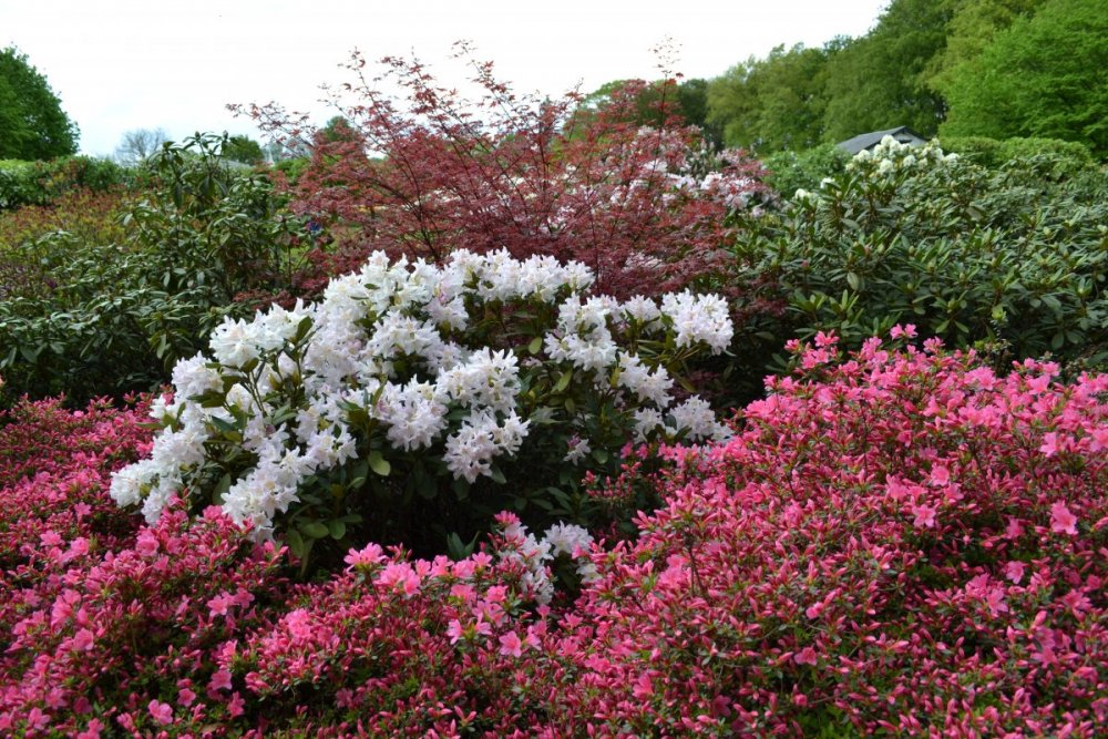 отпуск 2018 2468.JPG