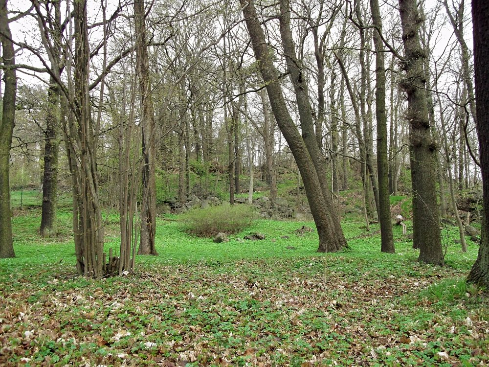 Сады и парки Скандинавии 393_Fotor.jpg