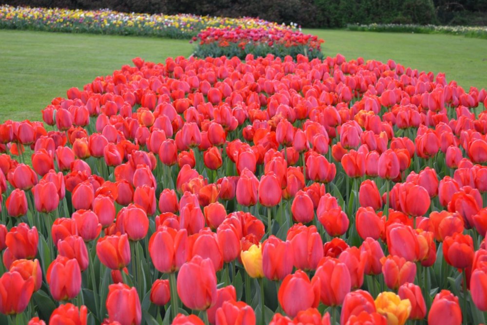 отпуск 2018 2588.JPG