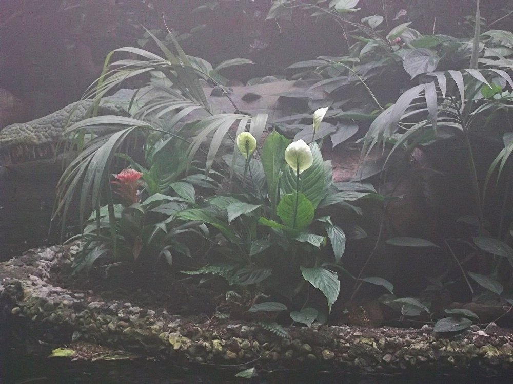 Сады и парки Скандинавии 509_Fotor.jpg