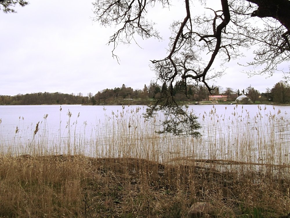 Сады и парки Скандинавии 406_Fotor.jpg