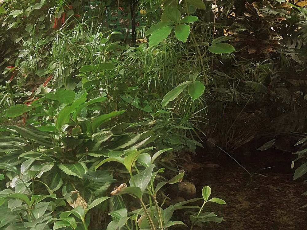 Сады и парки Скандинавии 545_Fotor.jpg