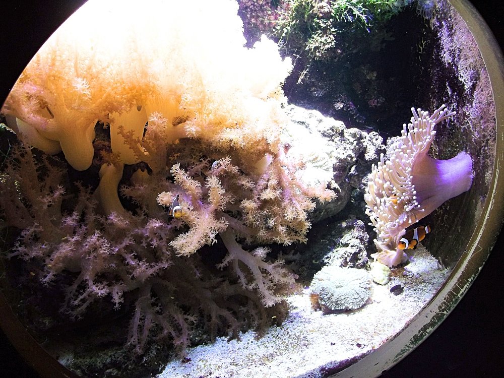 Сады и парки Скандинавии 588_Fotor.jpg