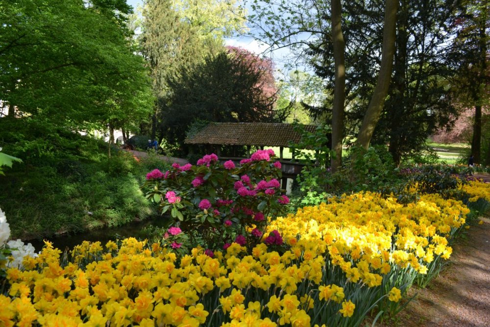 отпуск 2018 2658.JPG