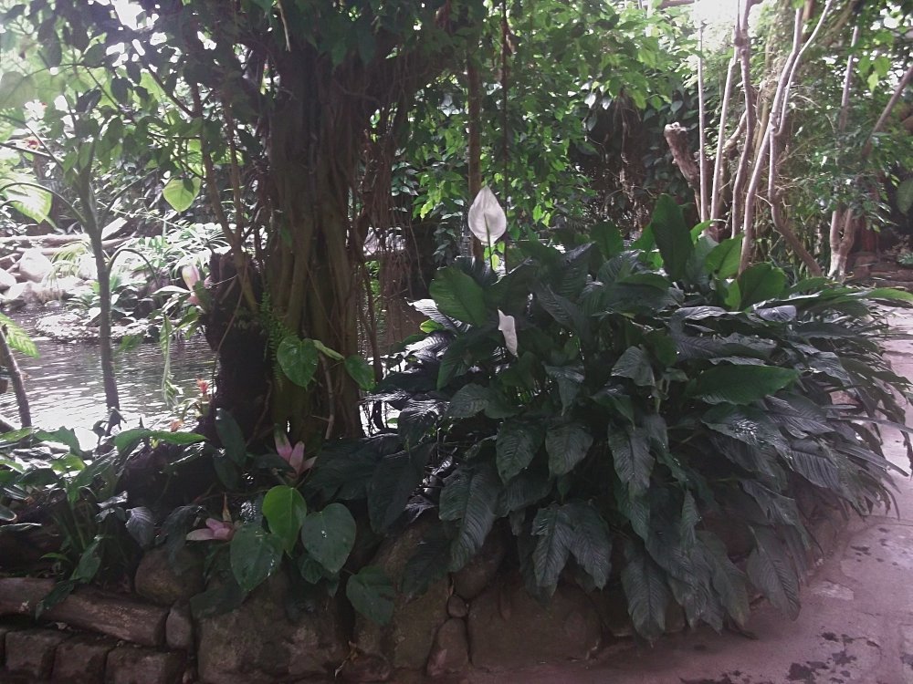 Сады и парки Скандинавии 503_Fotor.jpg