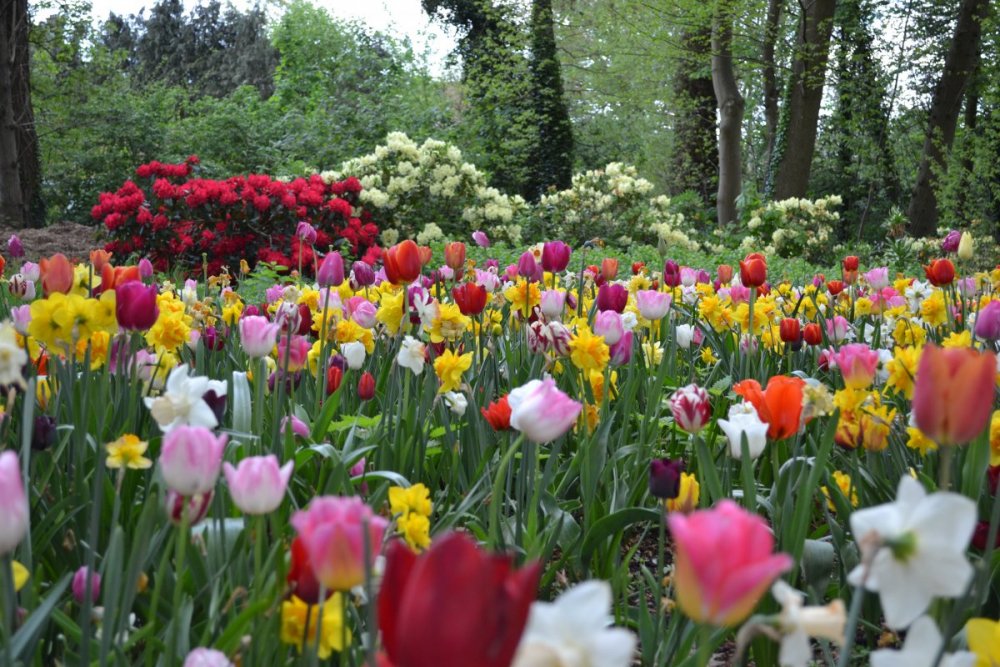 отпуск 2018 2622.JPG