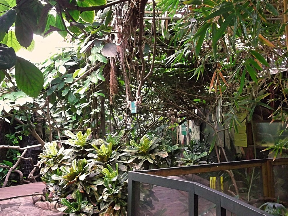 Сады и парки Скандинавии 584_Fotor.jpg