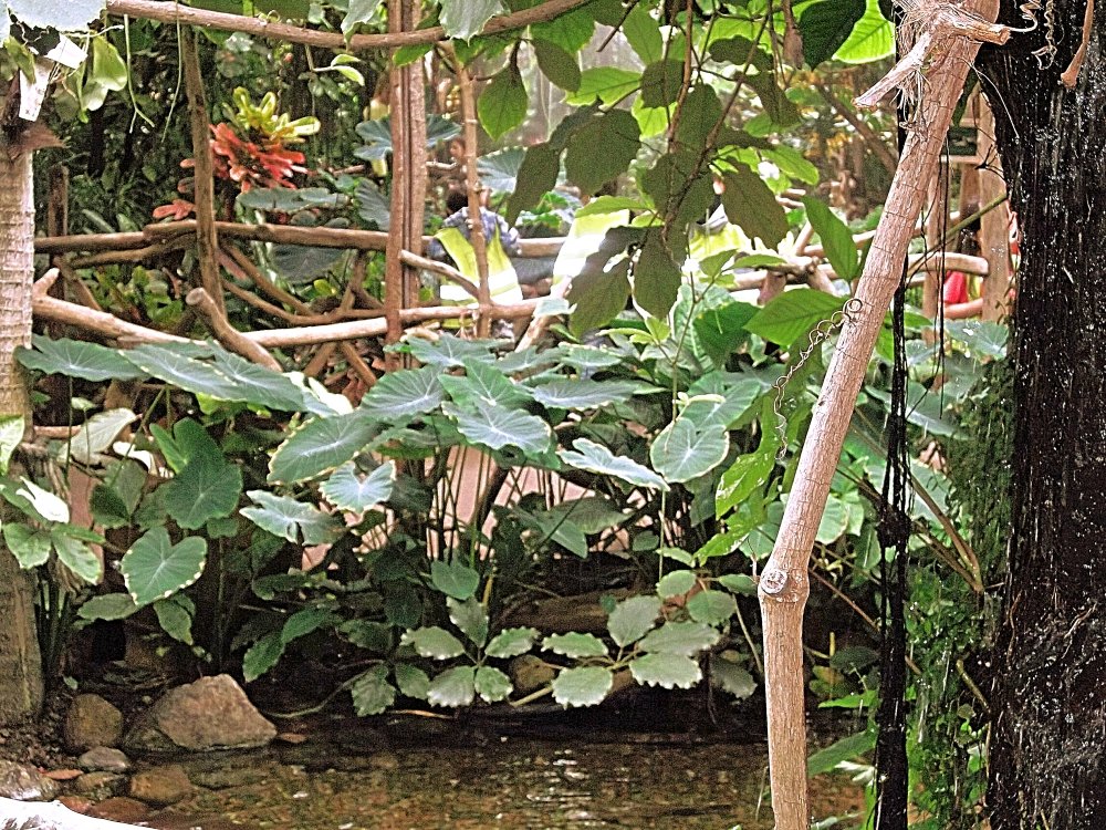 Сады и парки Скандинавии 565_Fotor.jpg