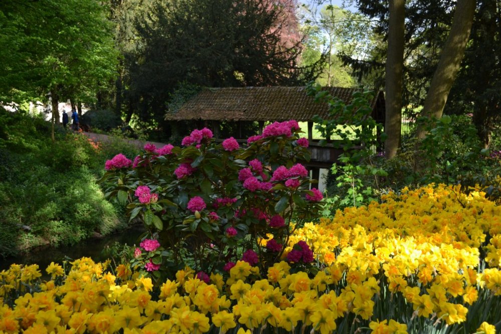 отпуск 2018 2659.JPG