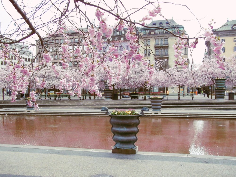 Сады и парки Скандинавии 367_Fotor.jpg